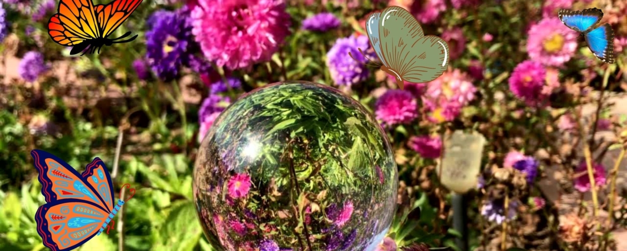 Magic-Sommer Magic-Sommer